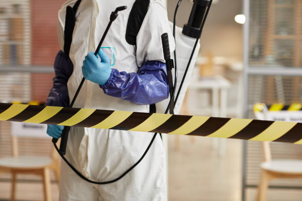Professional Hoarding Cleanup technician working in Parker, TX